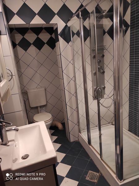 Piata Kogalniceanu, rond,